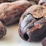 Cocoa Beans